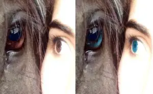 Cómo cambiar el color de los ojos en photoshop