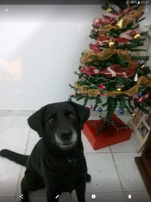 editar fotos en android editar fotos en android