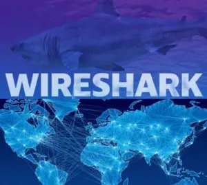 Cómo usar Wireshark para capturar, filtrar y analizar paquetes