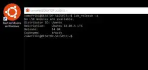 Cómo instalar y usar el Bash de Linux en Windows 10