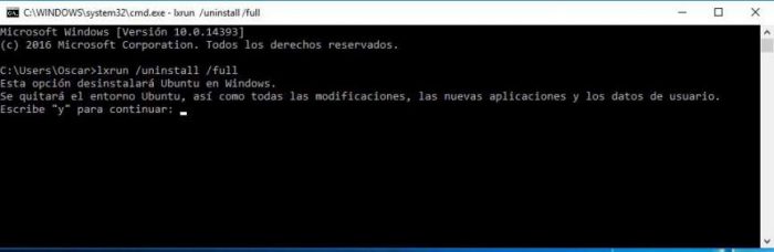 desinstalar bash de windows 10