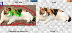 Cómo quitar el fondo a una imagen sin software especializado