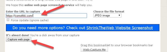 capturar pagina web completa online