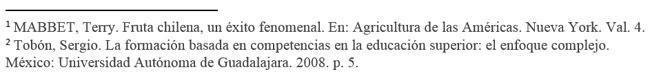 que son citas y notas al pie de pagina
