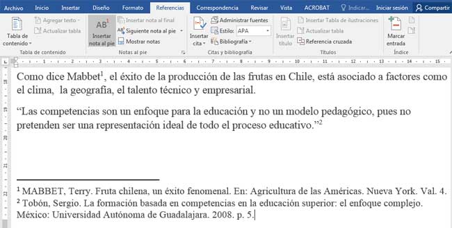 Formato De Notas Al Pie APA Notas Al Pie Y Notas Finales LJERGE